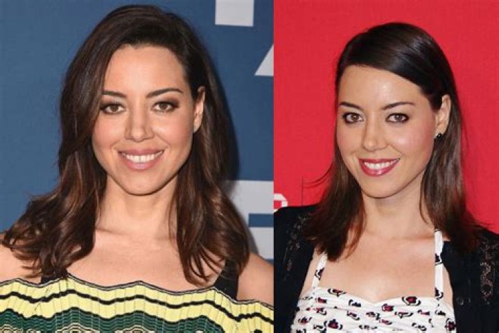 Aubrey Plaza Parents: Everything You Need to Know About the Actress, Comedian, and Producer