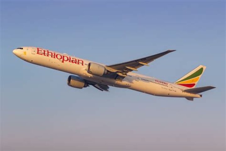 Ethiopian Airlines pilots fall asleep mid-flight and fly over airport