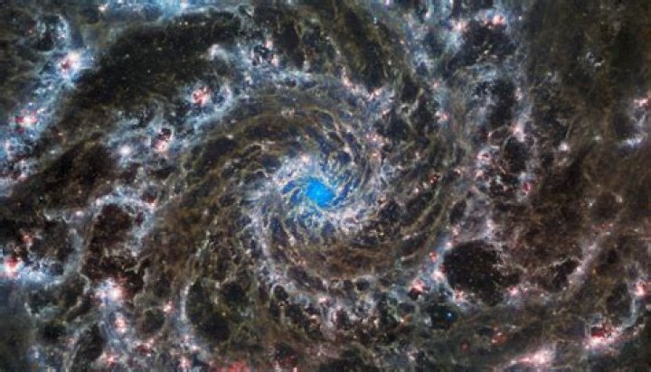 Kenny Johnson Parkinson's: Unlocking New Discoveries