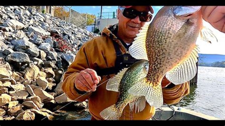 Unlock The Secrets Of Fishing Fortune With Richard Gene's Guide