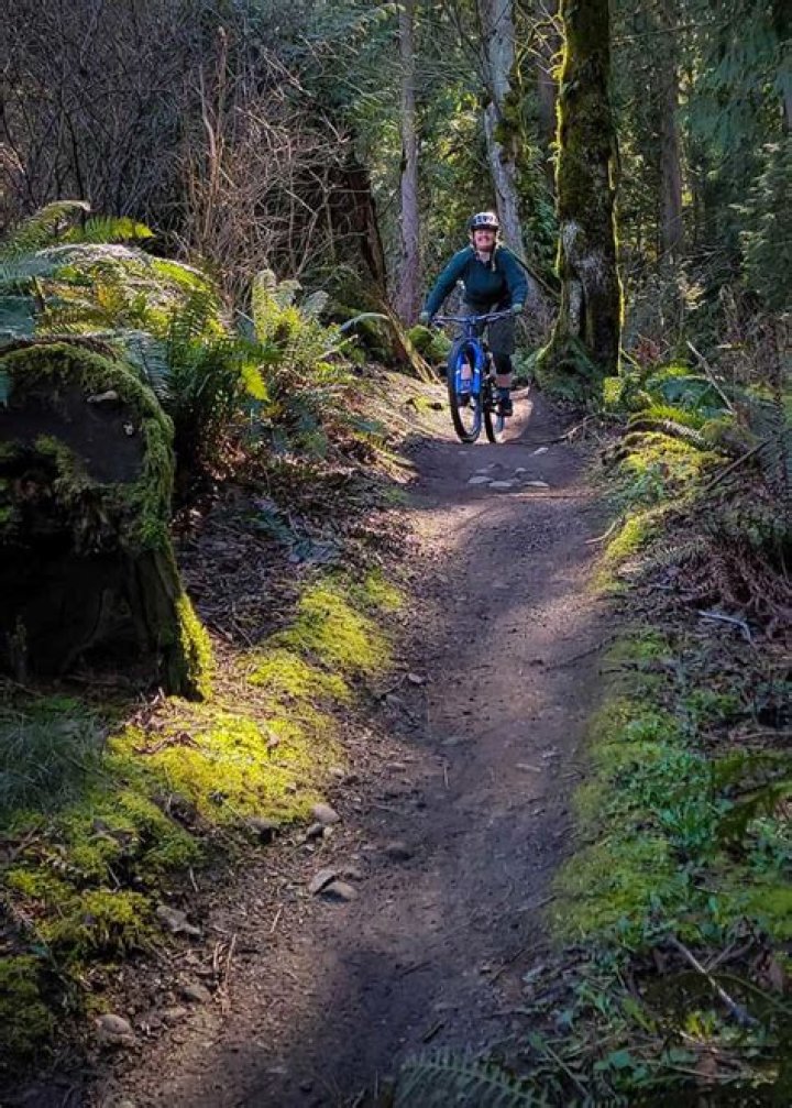Unravel The Hidden Gems Of Bellingham Height