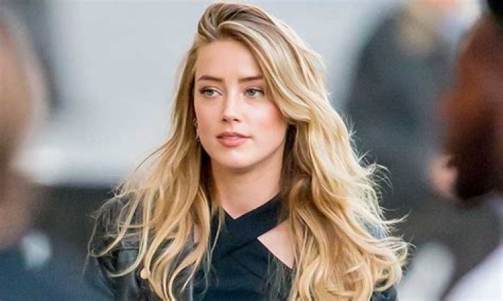 Unveiling Amber Heard's Fortune And Fascinating Life