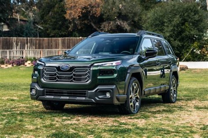 Unveiling Faze Apex's Wiki, Bio, And Age