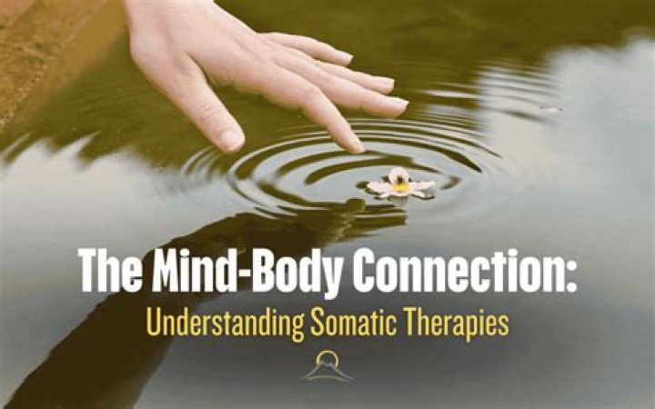 Unveiling The Mind-Body Connection: Exploring Lisa Sapolsky's Groundbreaking Research