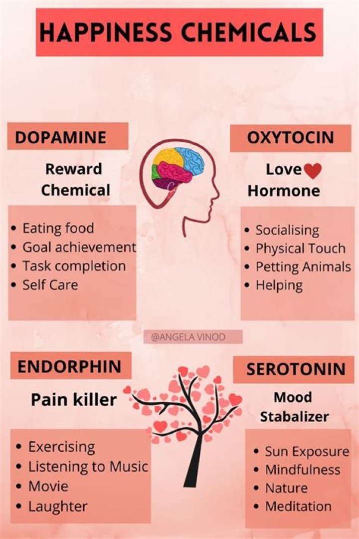 What are the 5 happy hormones?