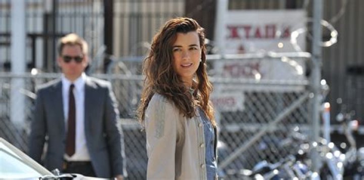 Where In The World Is Cote De Pablo Now: Her Recent Projects And Life Updates